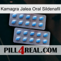 Kamagra Oral Jelly Sildenafil viagra4